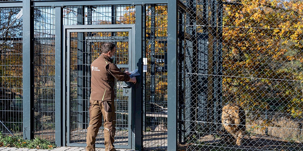 Animal Enclosures In Zoos