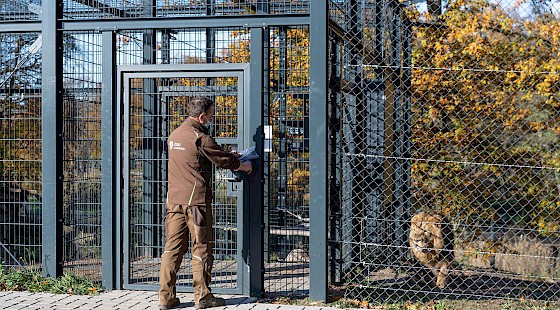 Zugangsabsicherung eines Tiergeheges im Zoo